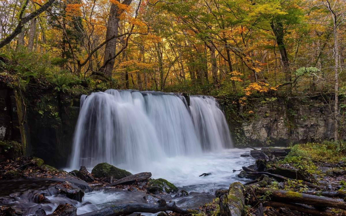 Experiencias rurales para desconectar y reconectar con la naturaleza