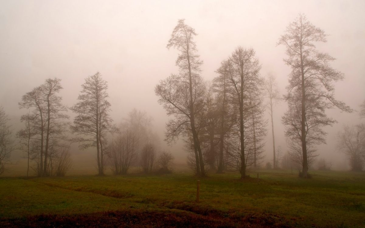 Reconectar con la naturaleza a través de experiencias rurales